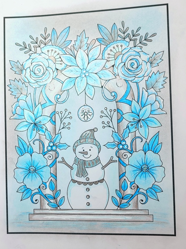 Défi de Janvier 2023 : Un coloriage hivernal monochrome - Page 3 Img_2109