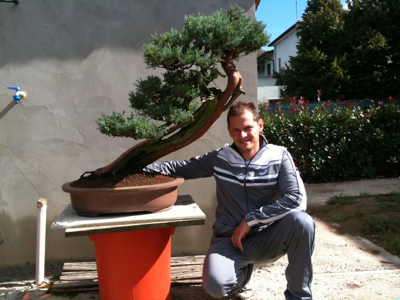 " ARON " storia evolutiva di un ginepro 201010