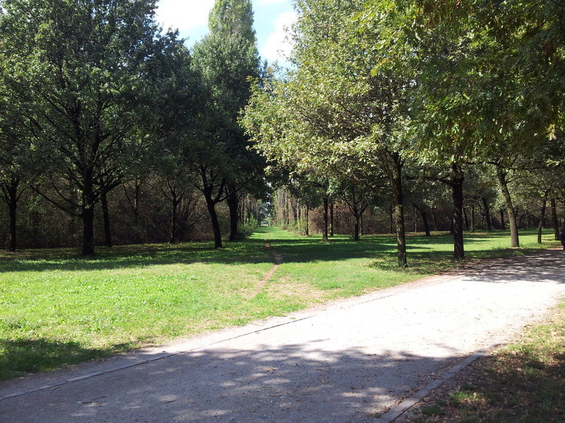 Parco Nord Milano - Domenica 17 Settembre Strada11