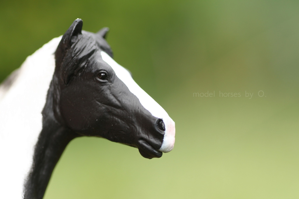 Arabian mare in foal (repainted) and other horses by Anna Mojo_f12