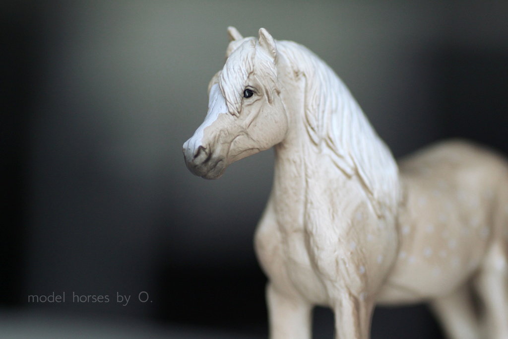 Arabian mare in foal (repainted) and other horses by Anna - Page 2 Mojo_w10