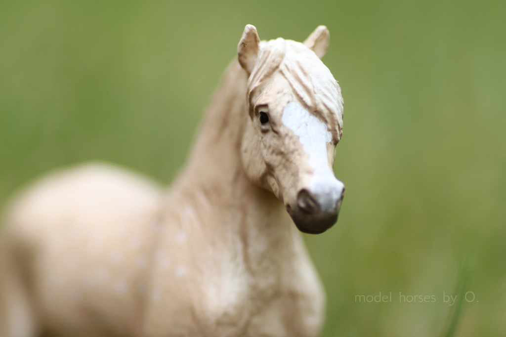 Arabian mare in foal (repainted) and other horses by Anna - Page 2 Mojo_w11