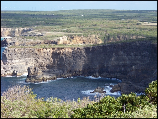 Pointe de la Grande Vigie 100_7517