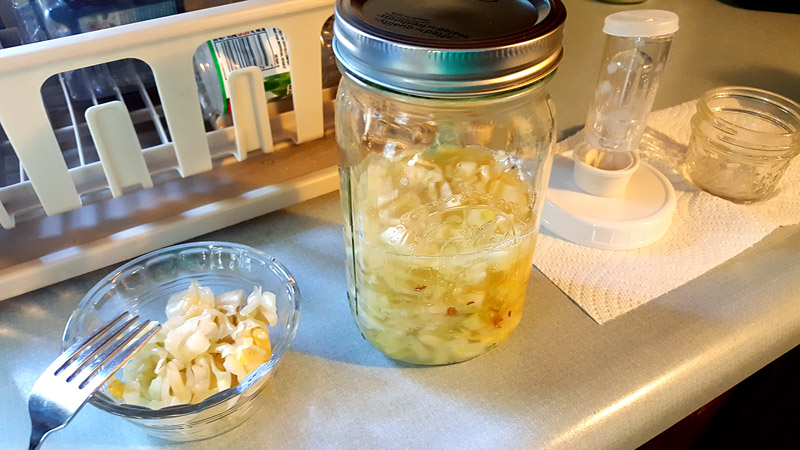 What do you know about making sauerkraut? - Page 2 Day-1511