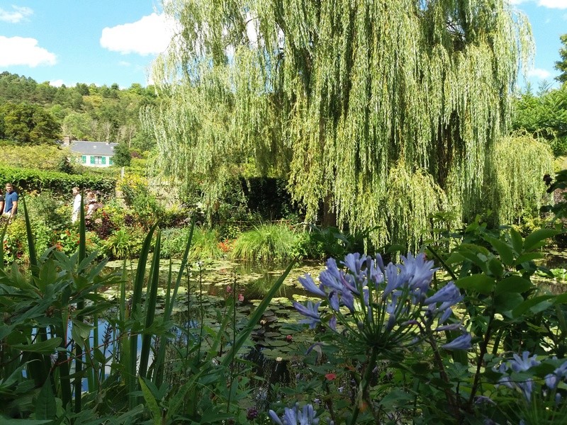 CR sortie à Giverny du 30/07/2017. 20170727