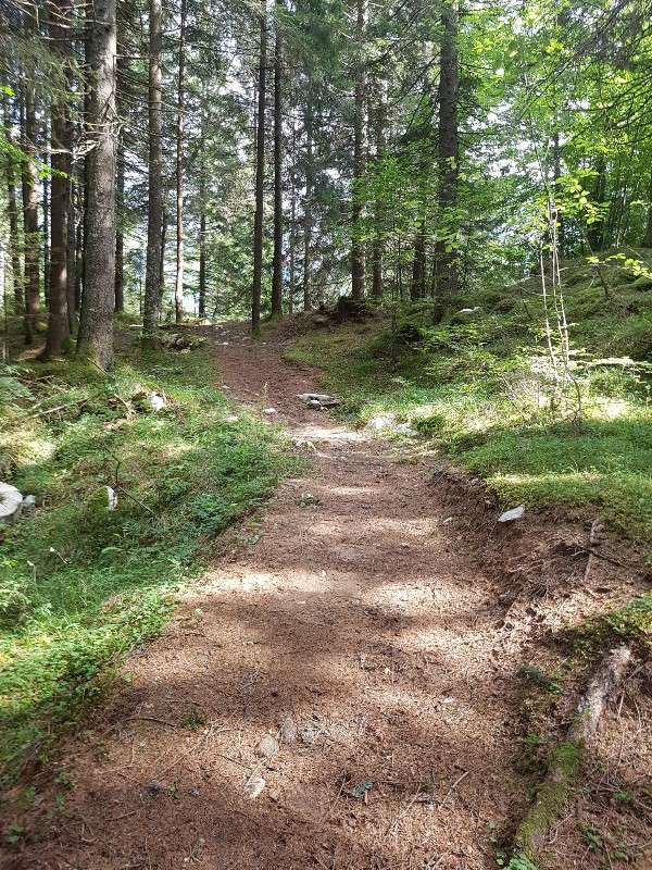 Passeggiata in Trentino 20170812