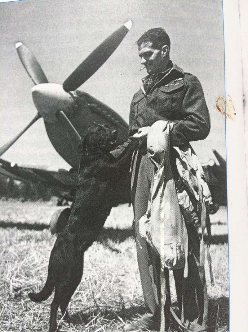 Tournée Générale ! Spitfire Mk. IXc (Italeri - 1/48) - Page 11 Img_0084