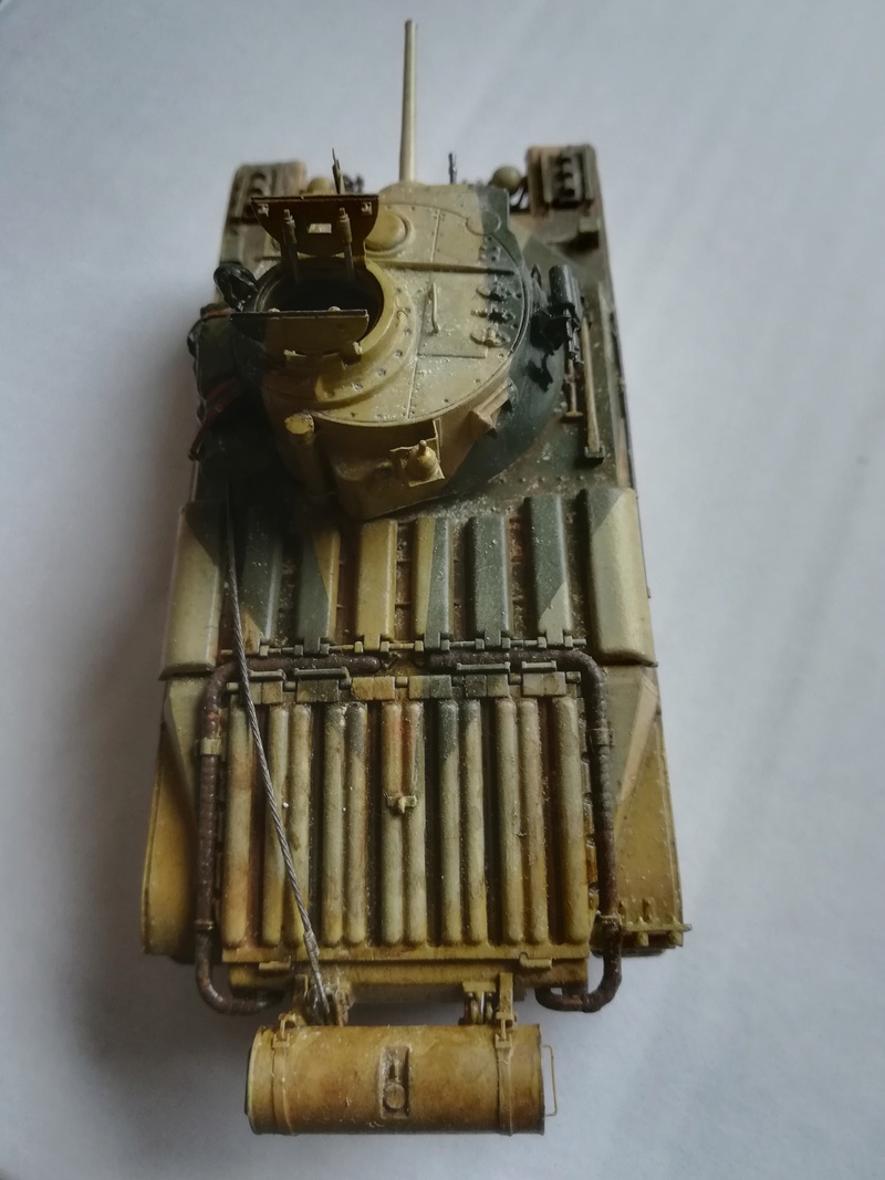 Une reine dans le désert (Matilda Mk. IV - Tamiya - 1/48) - Page 7 Img_2534