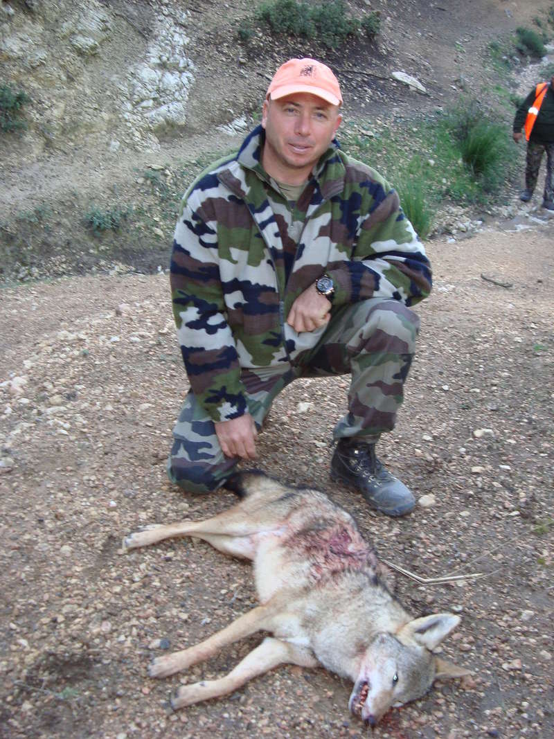 loup - Aprés le Loup , le Chacal Doré ??? 06710