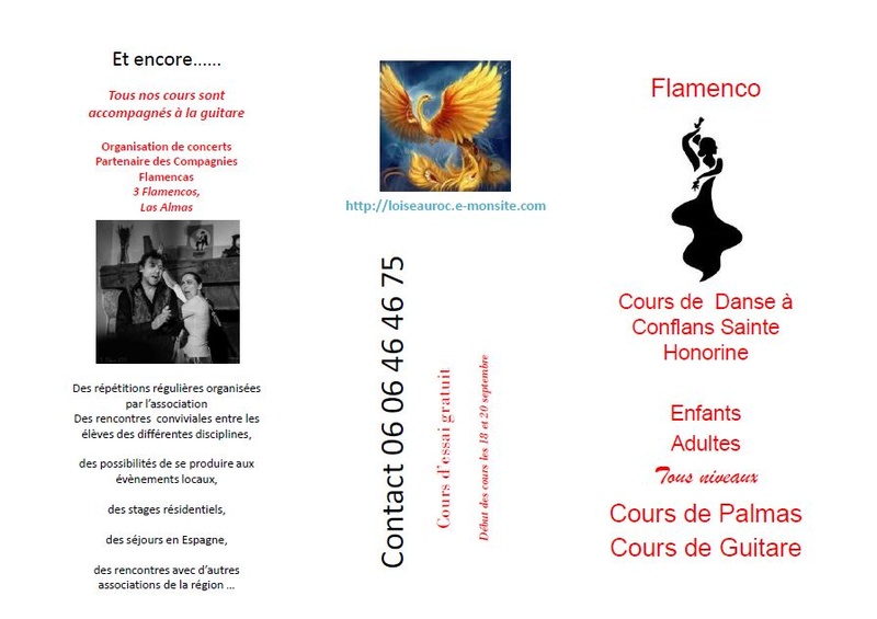 cours de danse / flamenco / palmas  Oiseau12