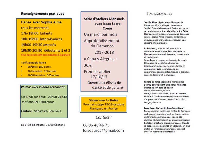 cours de danse / flamenco / palmas Oiseau13