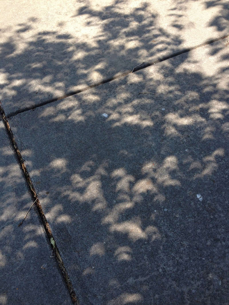 L'éclipse totale de soleil du 21 août 2017 depuis Agate (Nébraska) Feuill10