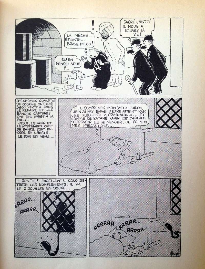 La grande histoire des aventures de Tintin. - Page 35 Img_5447