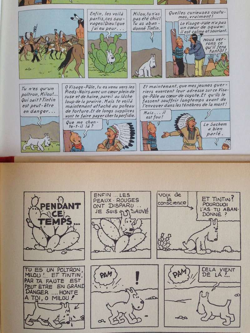 La grande histoire des aventures de Tintin. - Page 36 Img_5613