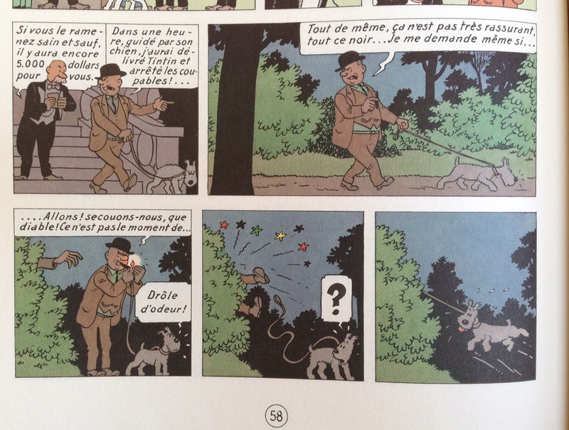 La grande histoire des aventures de Tintin. - Page 36 Img_5618