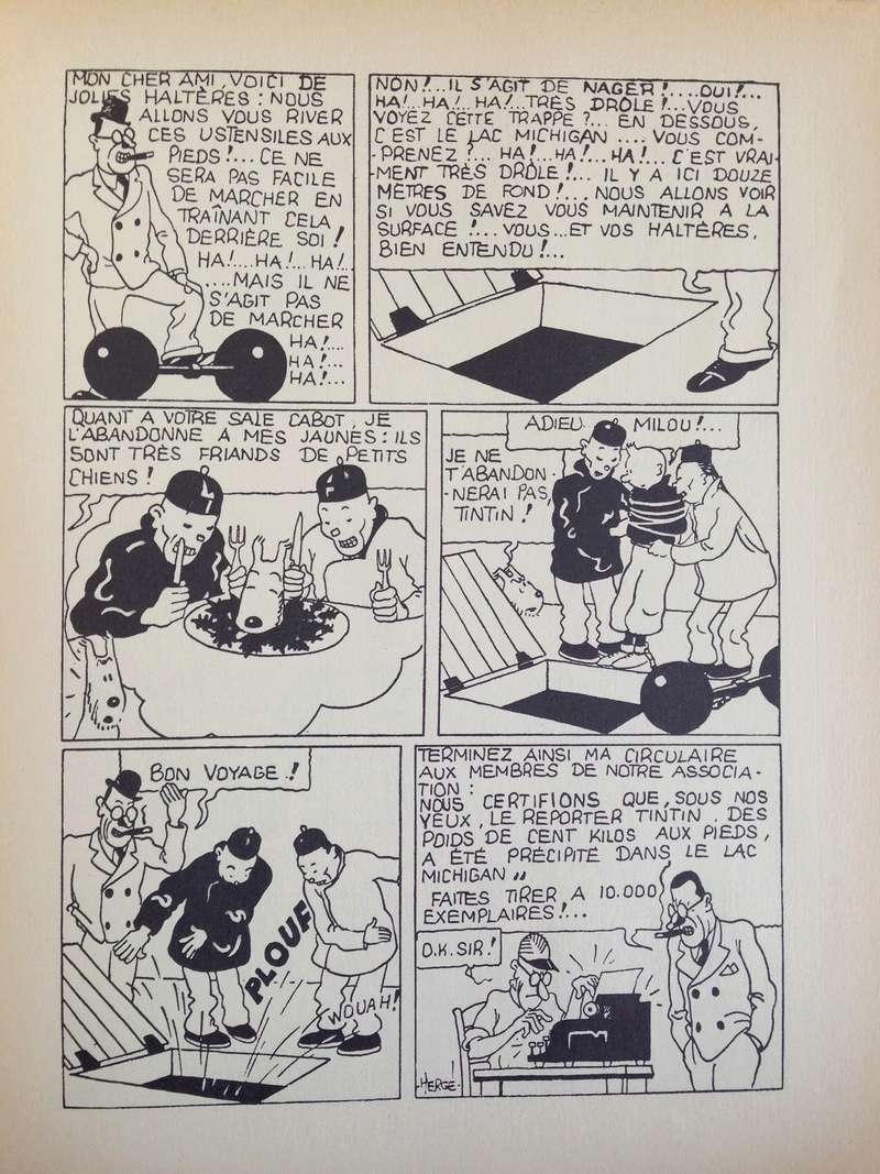 La grande histoire des aventures de Tintin. - Page 36 Img_5621