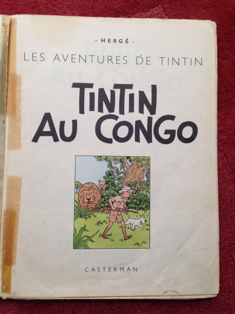 La grande histoire des aventures de Tintin. - Page 36 Img_5652