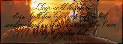 Aryas Requests - Seite 2 Tiger213