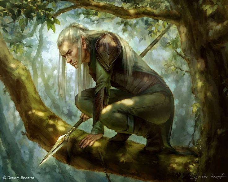 Elfos da Ofensiva Woodpurge, em Myth Drannor 332e7610