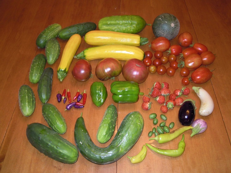 Monthly Avatar: September, Show Off Your Garden Harvest! - Page 3 Dscn0912