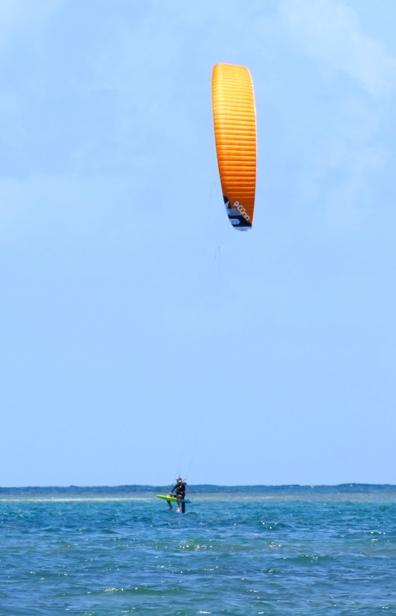 Haut ratio chez Peter lynn => Aero - Page 5 P1340010