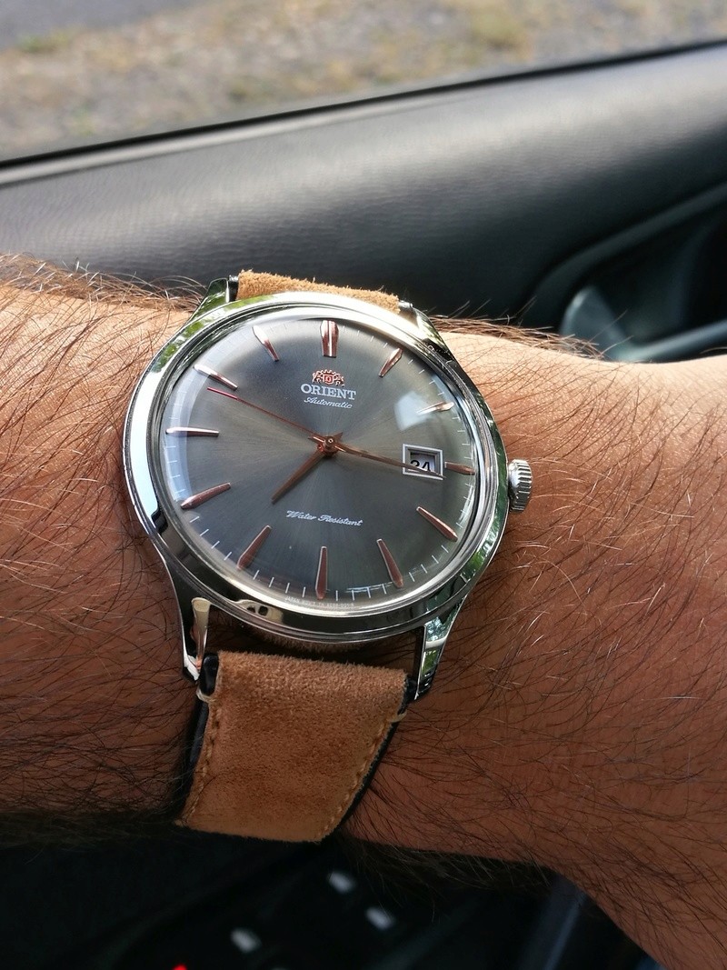 Steinhart, Hamilton, Seagull, Stowa... Pour un ptibleu, laquelle? Img_2015