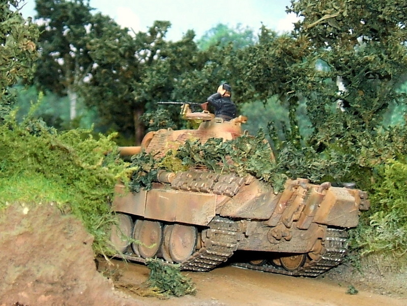 Dio Panther Aufst G Revell Dio_pa12