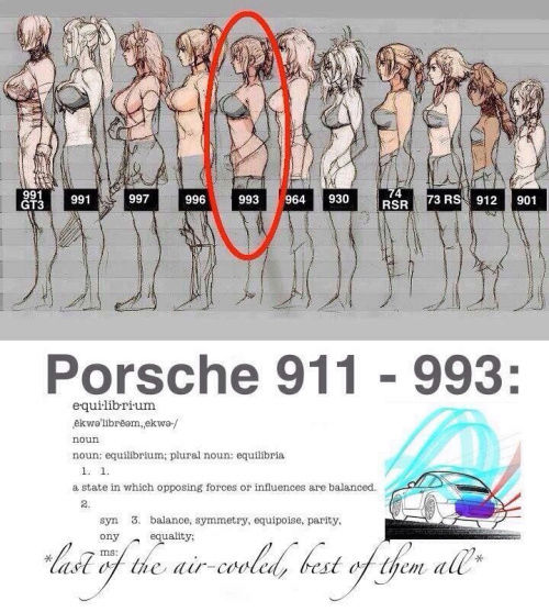 Porsche drôle/insolite - Page 11 Tumblr53