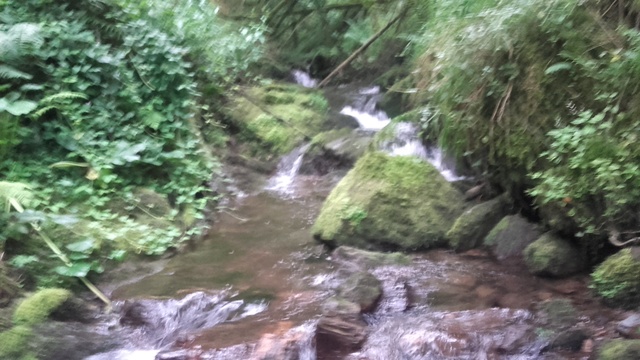 Sortie ruisseau Ariègeois 20170732
