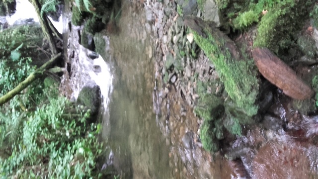 Sortie ruisseau Ariègeois 20170745