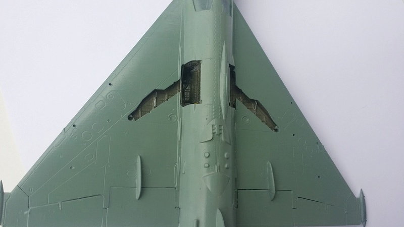 [Eduard] MiG 21-R 1/48e - Page 3 20170837