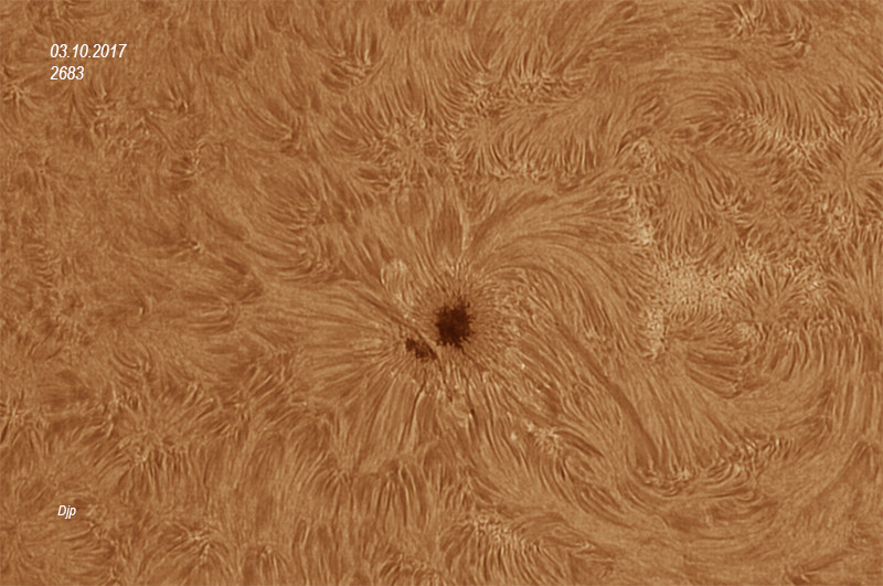 SOLEIL du JOUR en Ha et Protus 2683_010