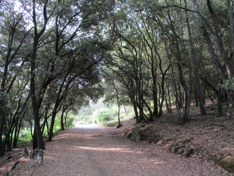 Parc de la Valmasque, prés de Cannes. Img_0314