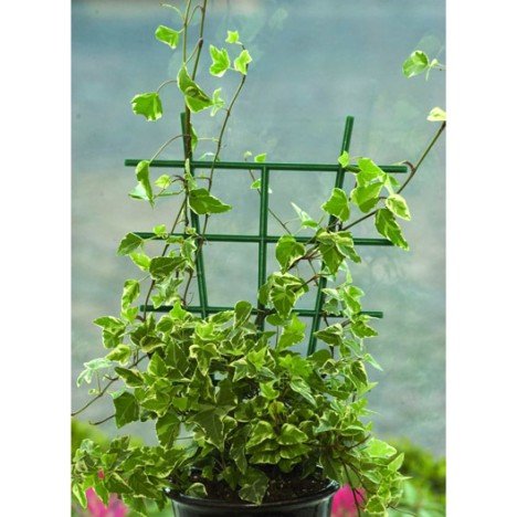 Terrarium pour morelia viridis aru juvénile - Page 3 Tuteur10