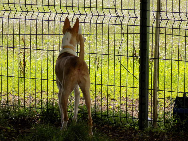 Annicka petite pod tendresse Adoptée - Page 2 Dscn3713