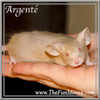 Varieties of Mice Argent13