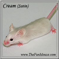 Varieties of Mice Creams10