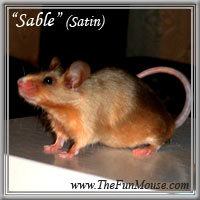 Varieties of Mice Sables10