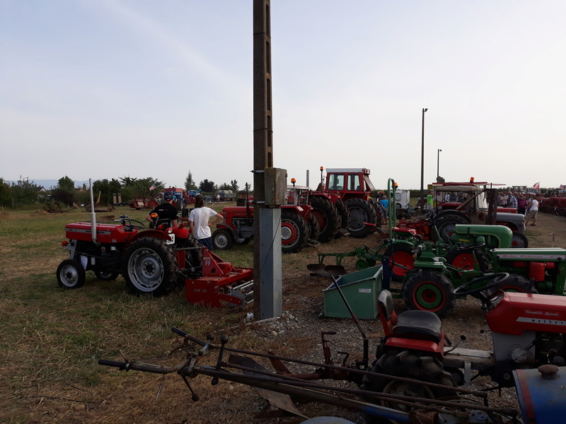 68 - Dessenheim - Fête des tracteurs le 27 août - Page 2 20170850