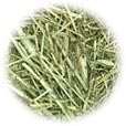 Cleaning, Odor, and Bedding Hay10