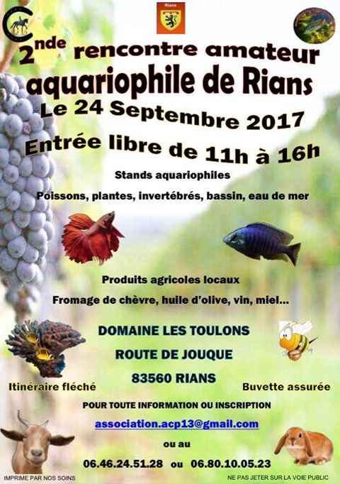 [83] 2nde journée aquariophile de Rians le 24 sept 2017  Rians_10