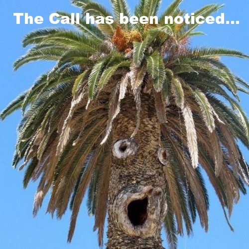 Did I just see that? - Page 2 Ent_ca10