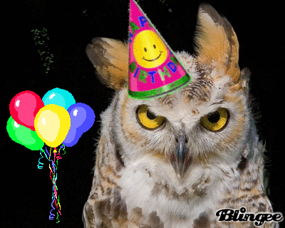 Happy Birthday, Stormcatcher! Owlbir10