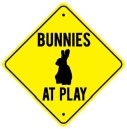 Bunny est dans la place ! Bunnyz10