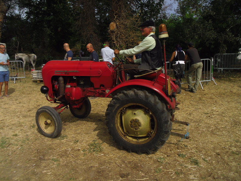 Fête des Moissons Samedi 19 Août 2017 à Mallemort - Page 2 Imgp9722