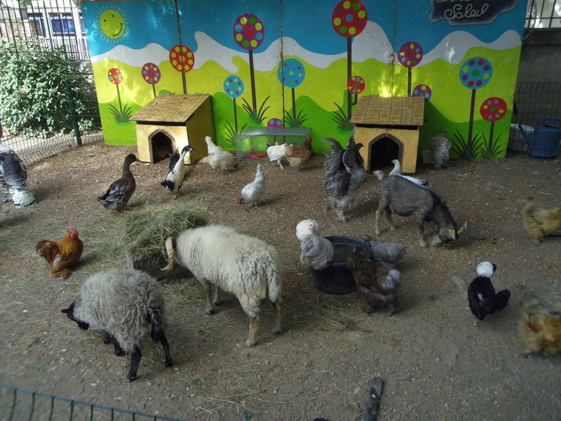 13 -Maussane les Alpilles : Fête du Temps Retrouvé le 27 Aoû Imgp9730