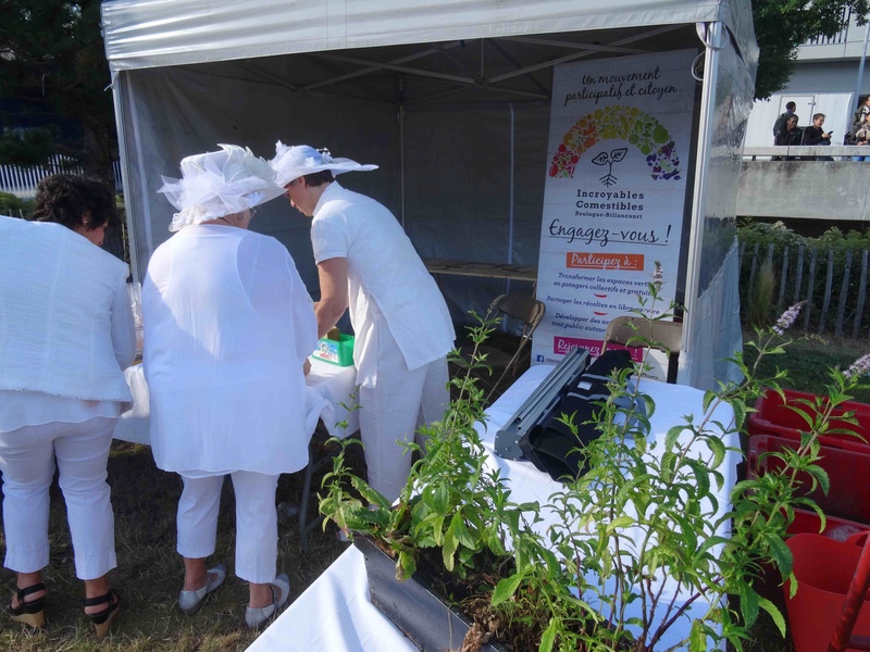 Les Petits Potagers de Boulogne Billancourt (ex Incroyables Comestibles de Boulogne Billancourt) Dsc02312