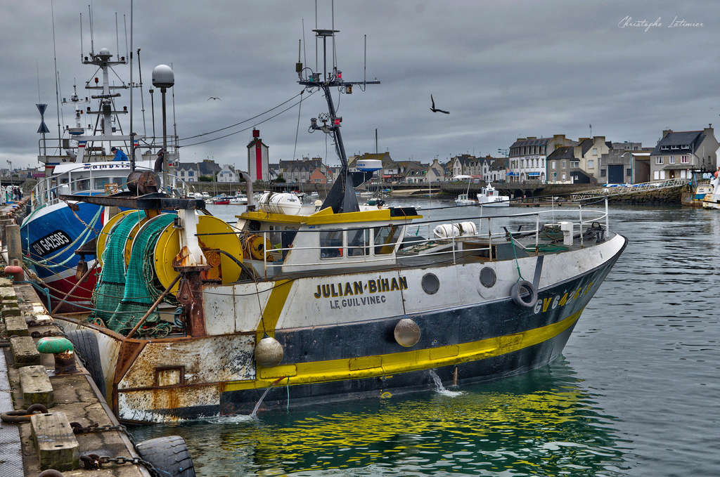 Port du Guilvinec Dsc_5014