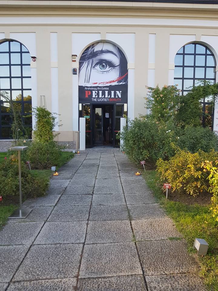 pellin - Mostra Cinzia Pellin; THE WOMEN BEAUTY – Anthology Art Exhibit; Villa reale Monza 21-23 settembre 2017 21617710