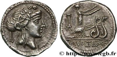 Fake Roman Coins... 88244310